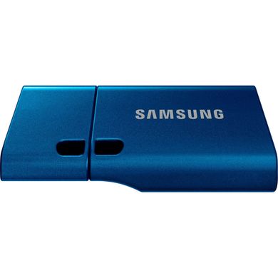 USB флеш накопичувач Samsung 64GB USB 3.2 Type-C (MUF-64DA/APC)