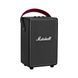 Акустичні системи MARSHALL