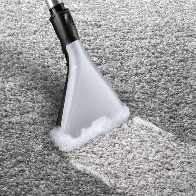 Пилосос Bosch BWD 421 POW