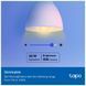 Розумна лампочка TP-Link Tapo L530E (2-Pack) N300 (TAPO-L530E-2-PACK)
