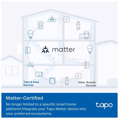 Розумна розетка TP-Link Tapo P100M