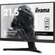 Монітори iiyama