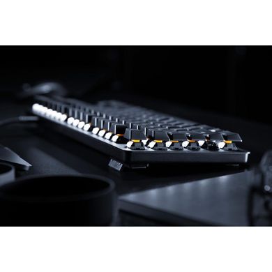 Клавіатура Razer BlackWidow Lite RU (RZ03-02640100-R3M1)