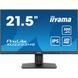 Монітори iiyama