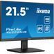 Монітори iiyama