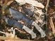 Ніж Boker Plus Tracker